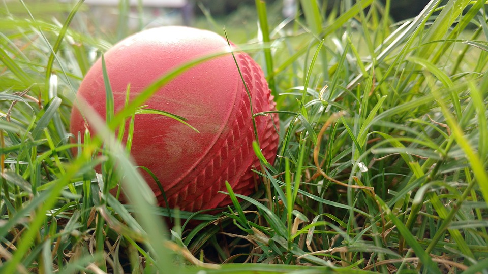 cricket-2533791_960_720.jpg