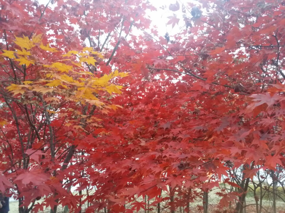 KakaoTalk_20171018_012216179.jpg