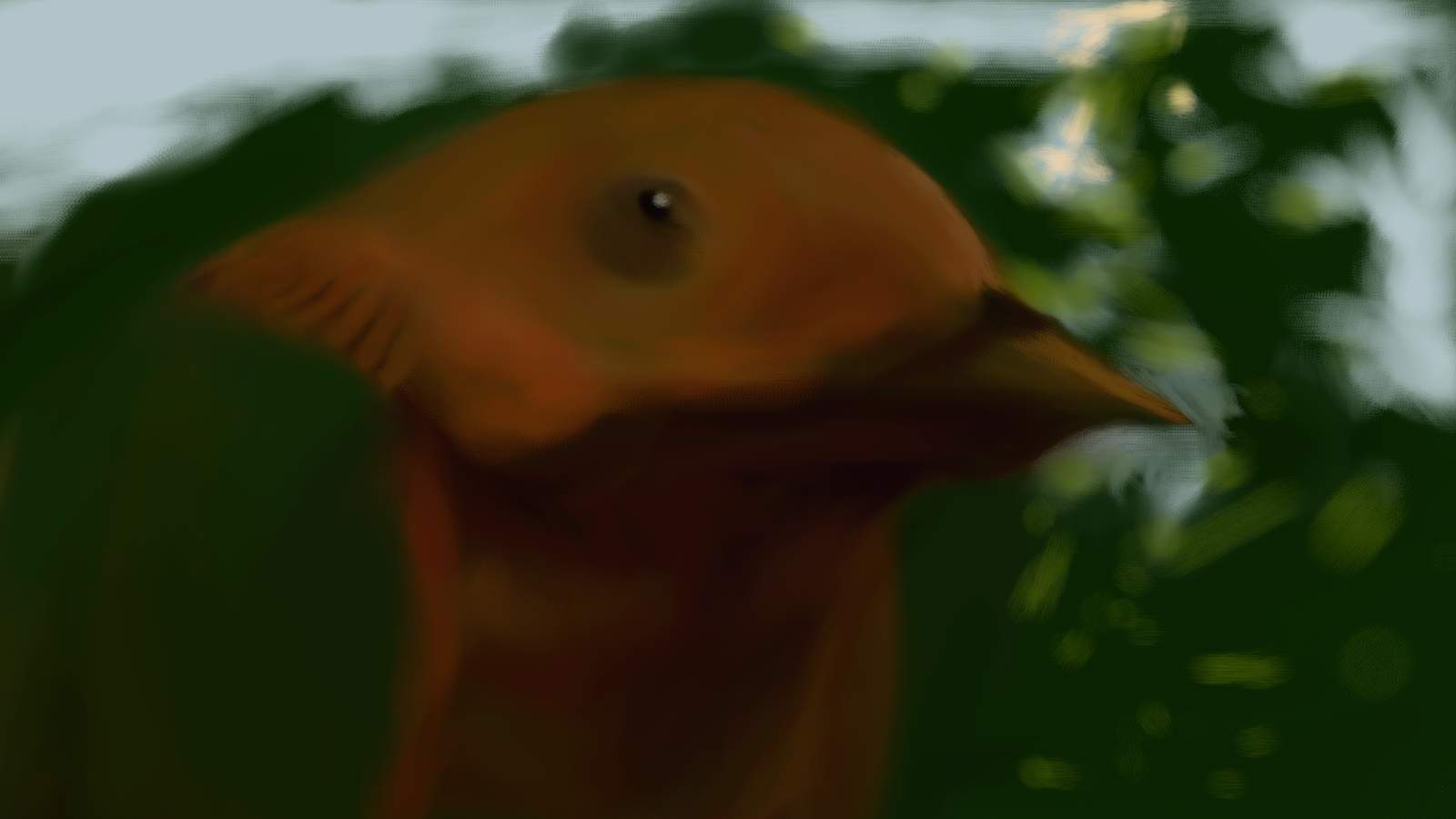 Untitled-3_bak.jpg