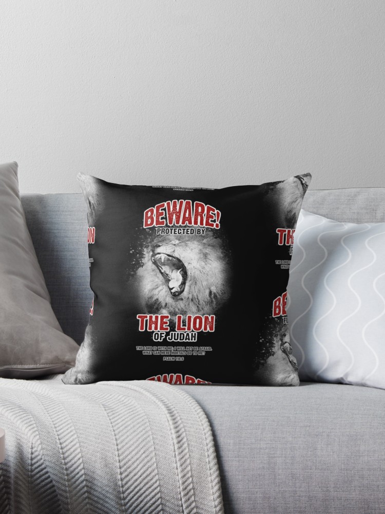 throwpillow,small,750x1000-bg,f8f8f8.u2.jpg