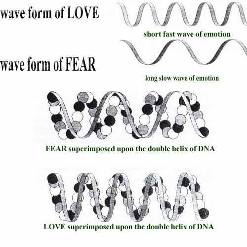 wave form of love.jpg