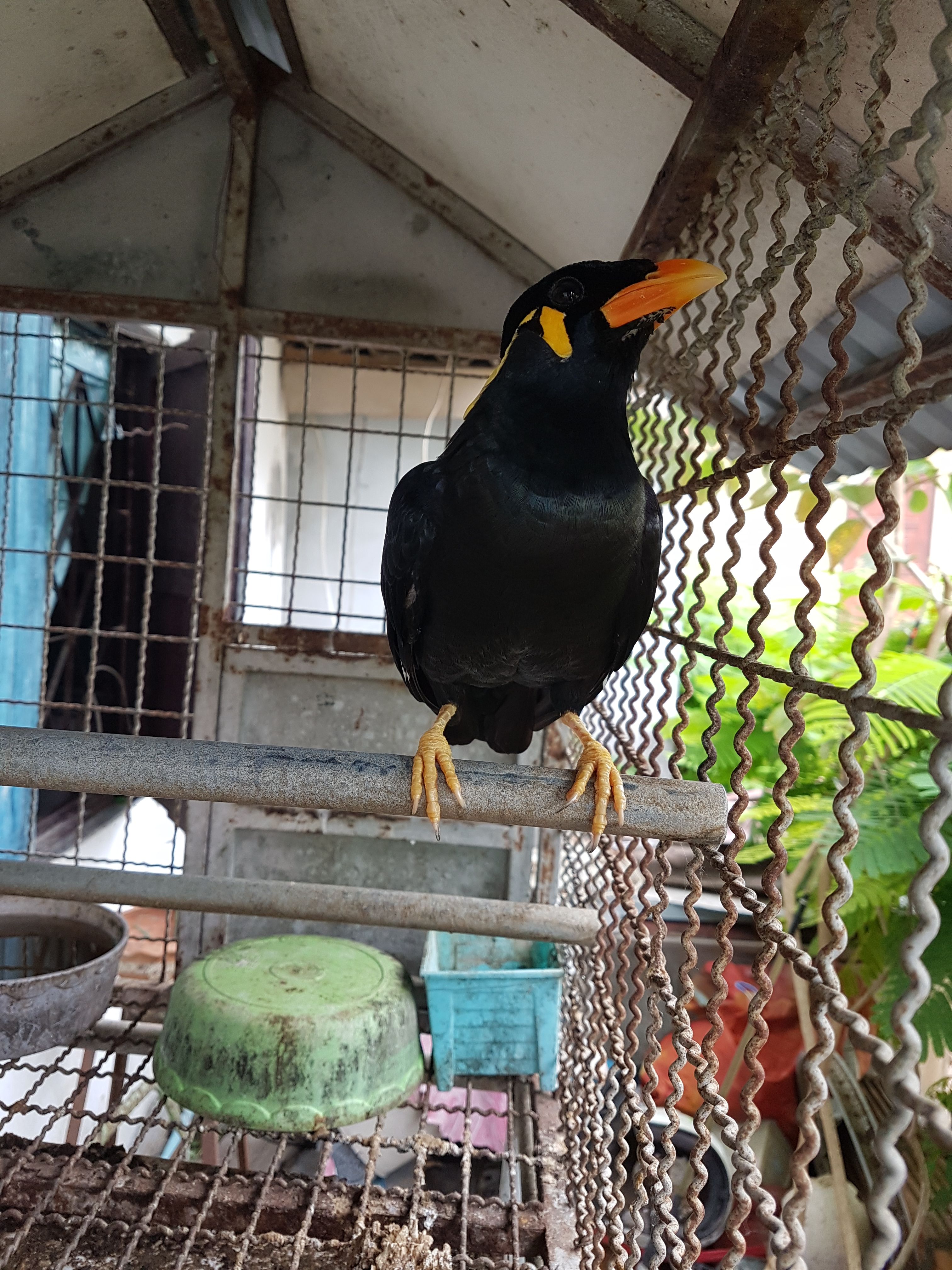 20170920_154223.jpg