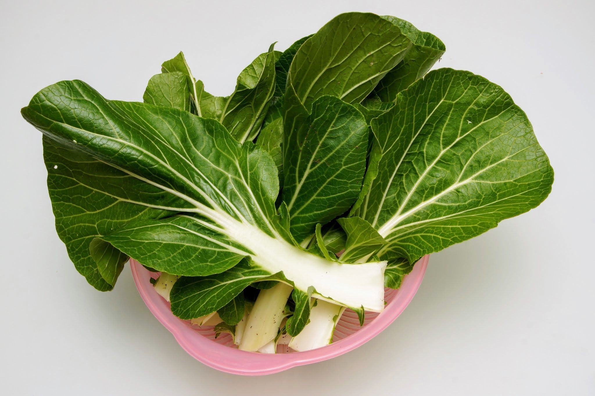 bokchoy - Copy.jpg