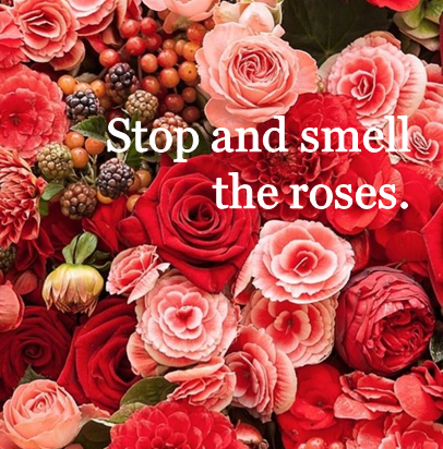 Smell the roses x.png