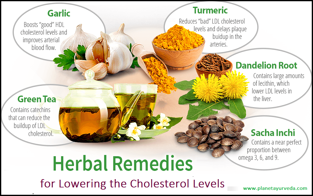 5_best_herbal_remedies_to_keep_cholesterol_in_check.png