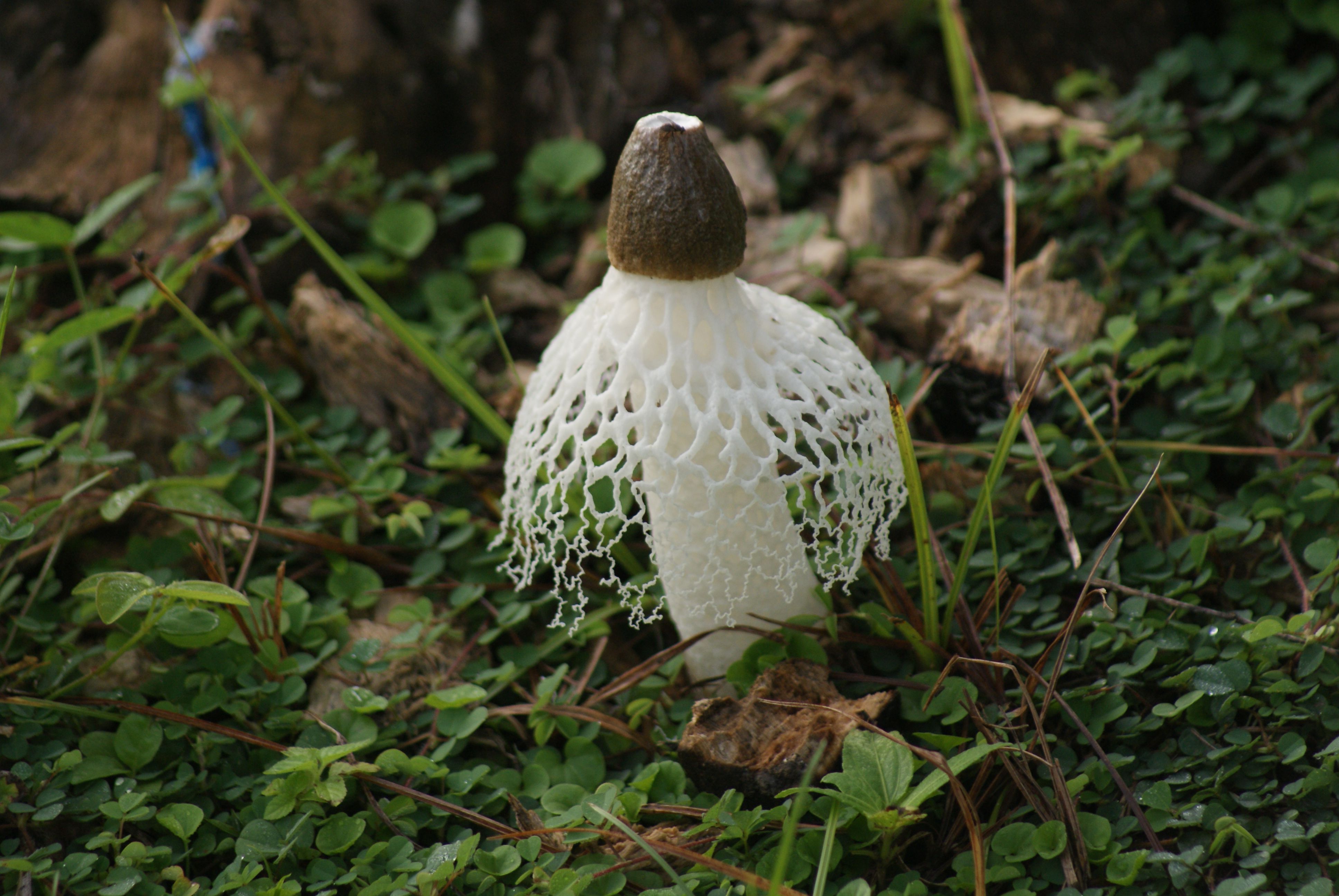 DSC04367.JPG