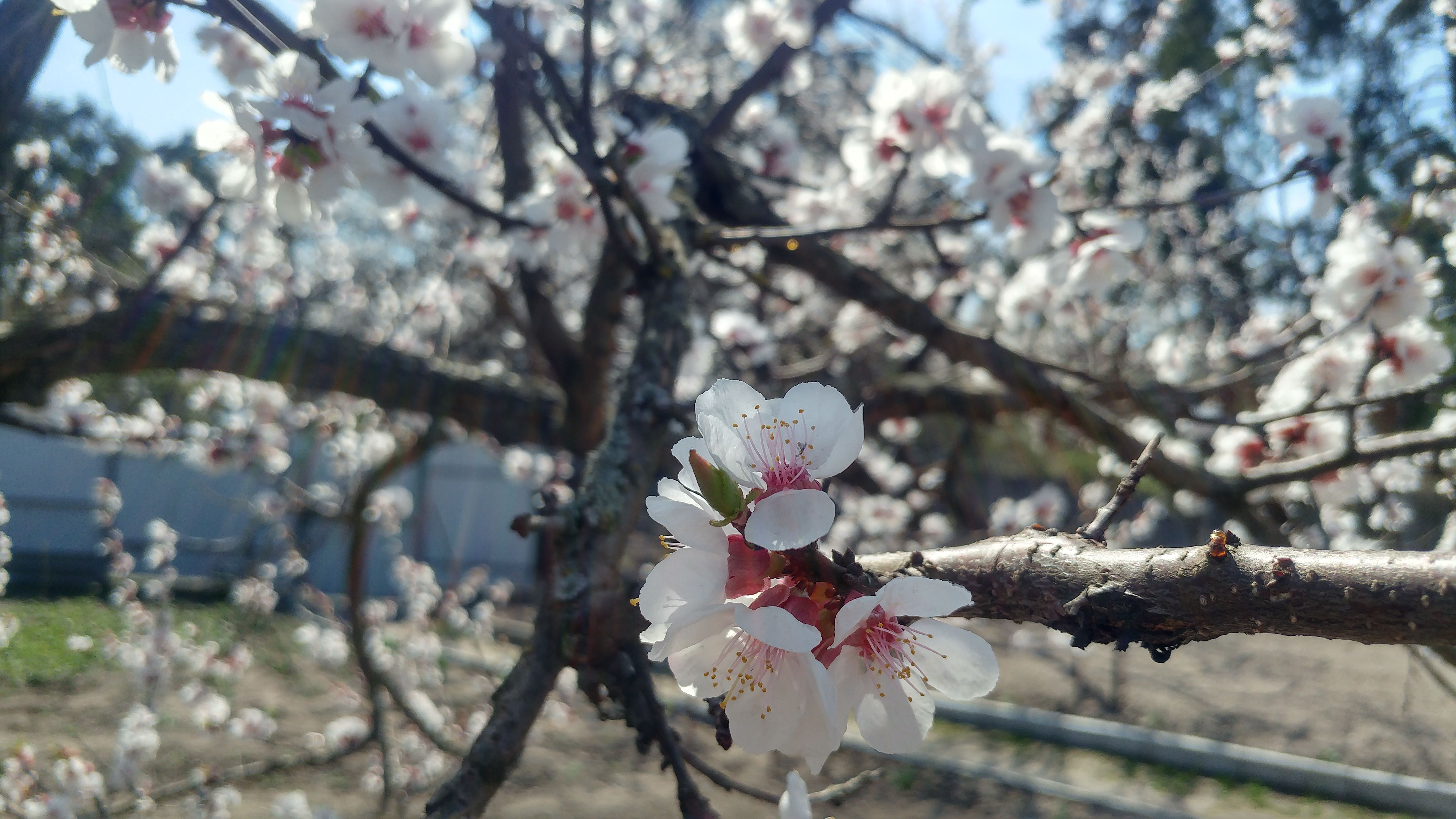 20180421_134018_HDR.jpg