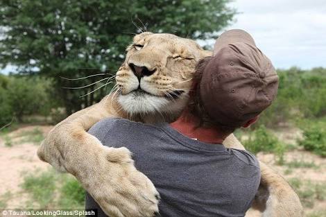 The friendship between human and animals. — Steemit The friendship between human and animals. — Steemit