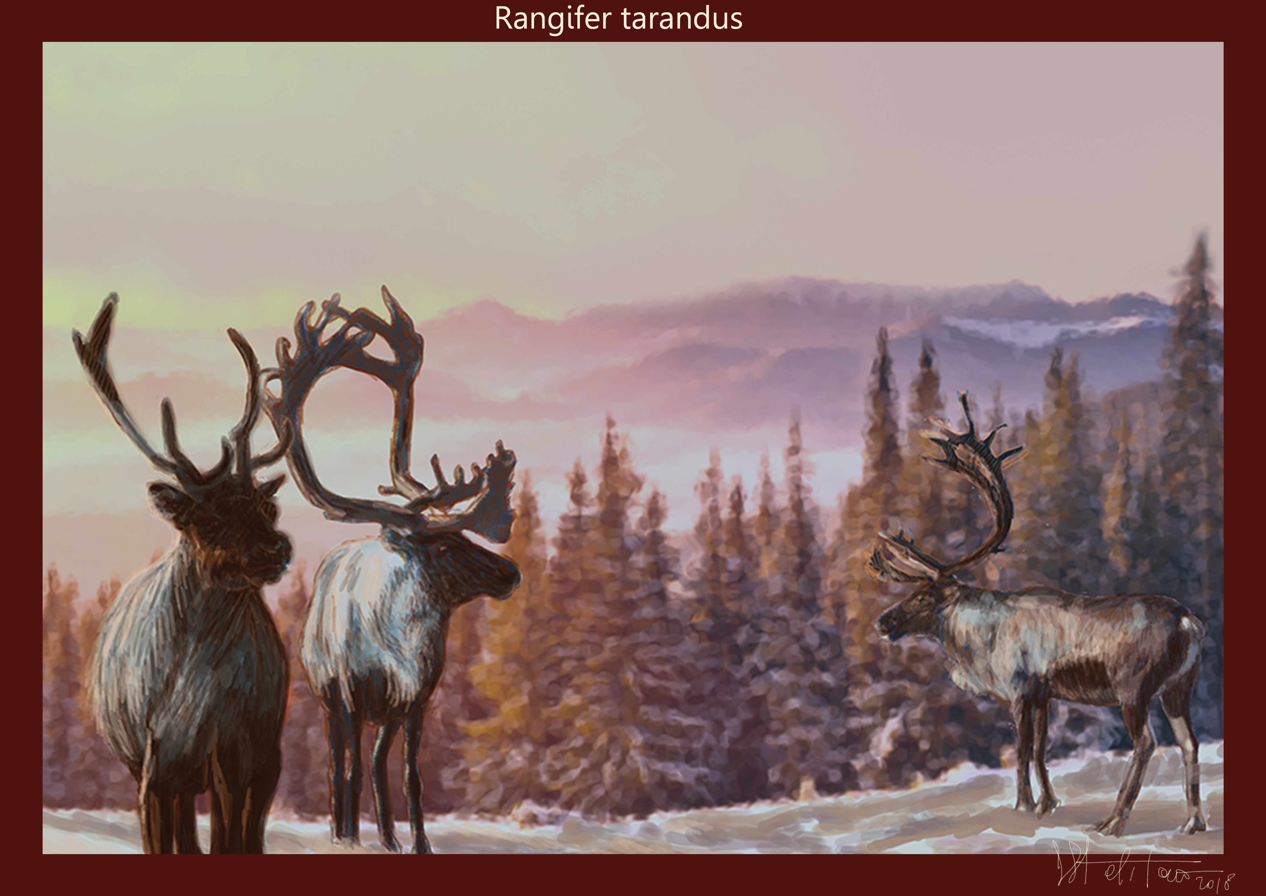 reindeer.png