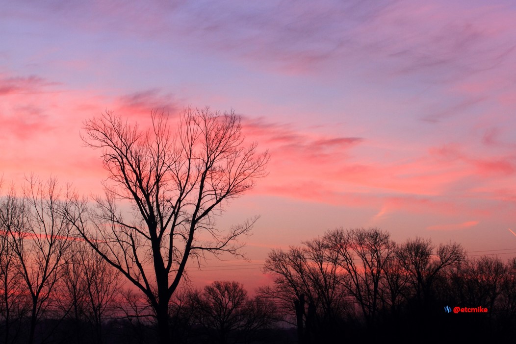 pink sunrise dawn SR15-04.JPG