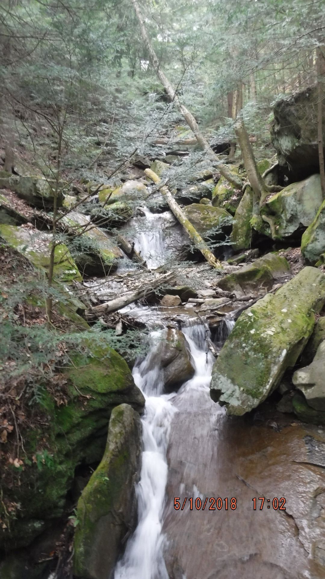 DSCF5633.JPG