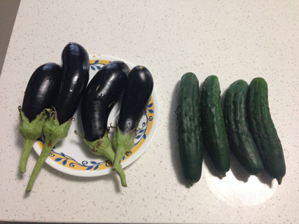 eggplant_cucumber.png