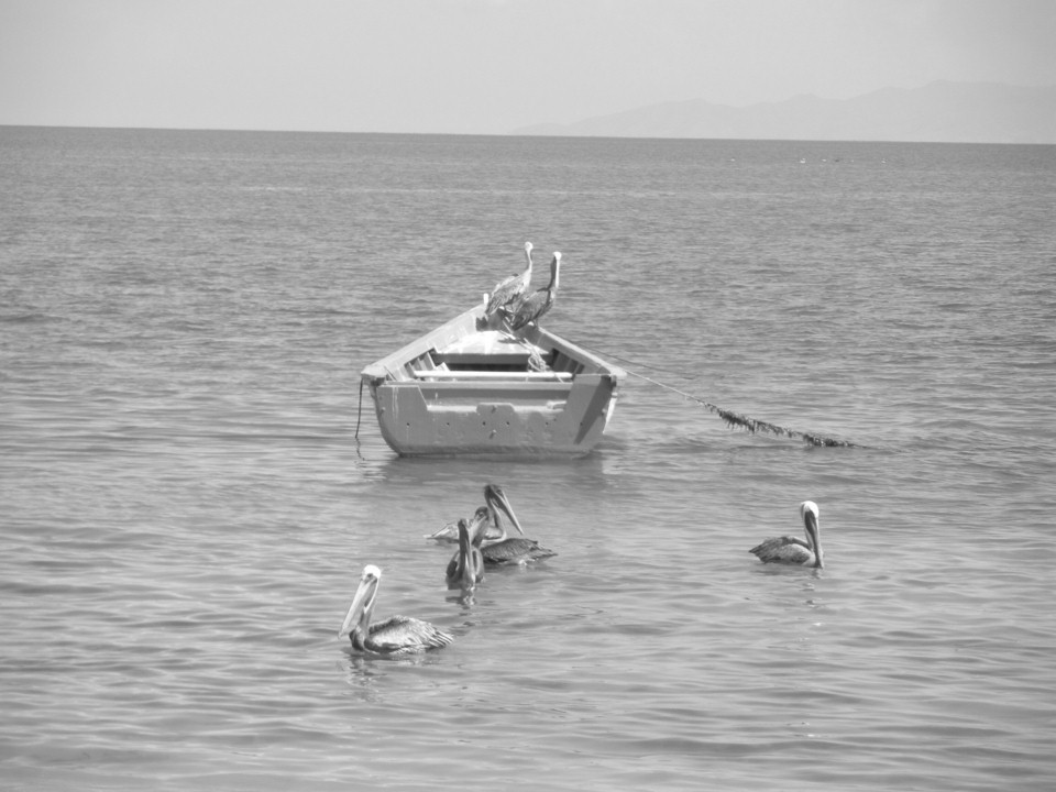 El Mar y Yo.jpg