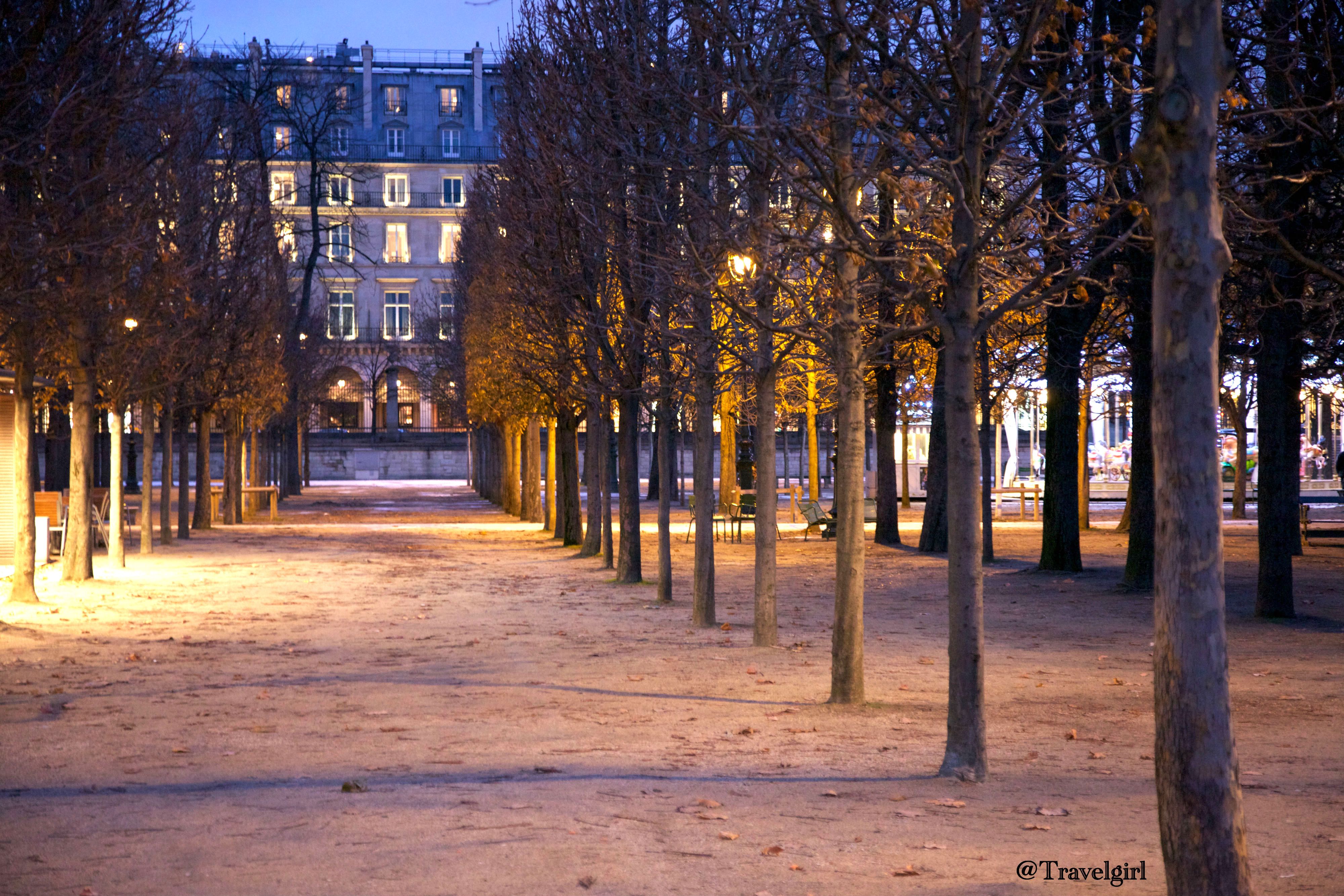 A Quiet Winter Night In Paris 在巴黎街頭的夜景 Steemit