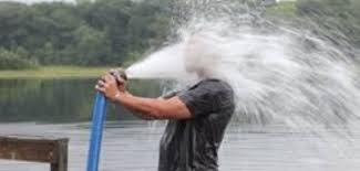 drinking from the firehose.jpg