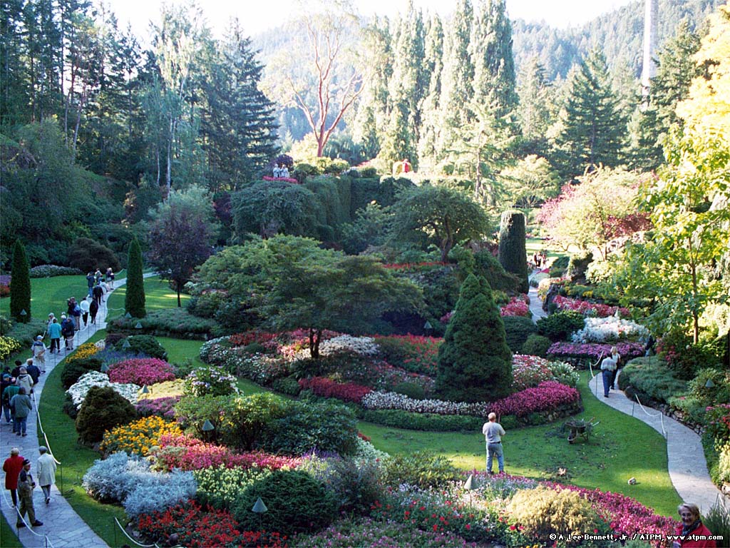 butchart-gardens-1.jpg