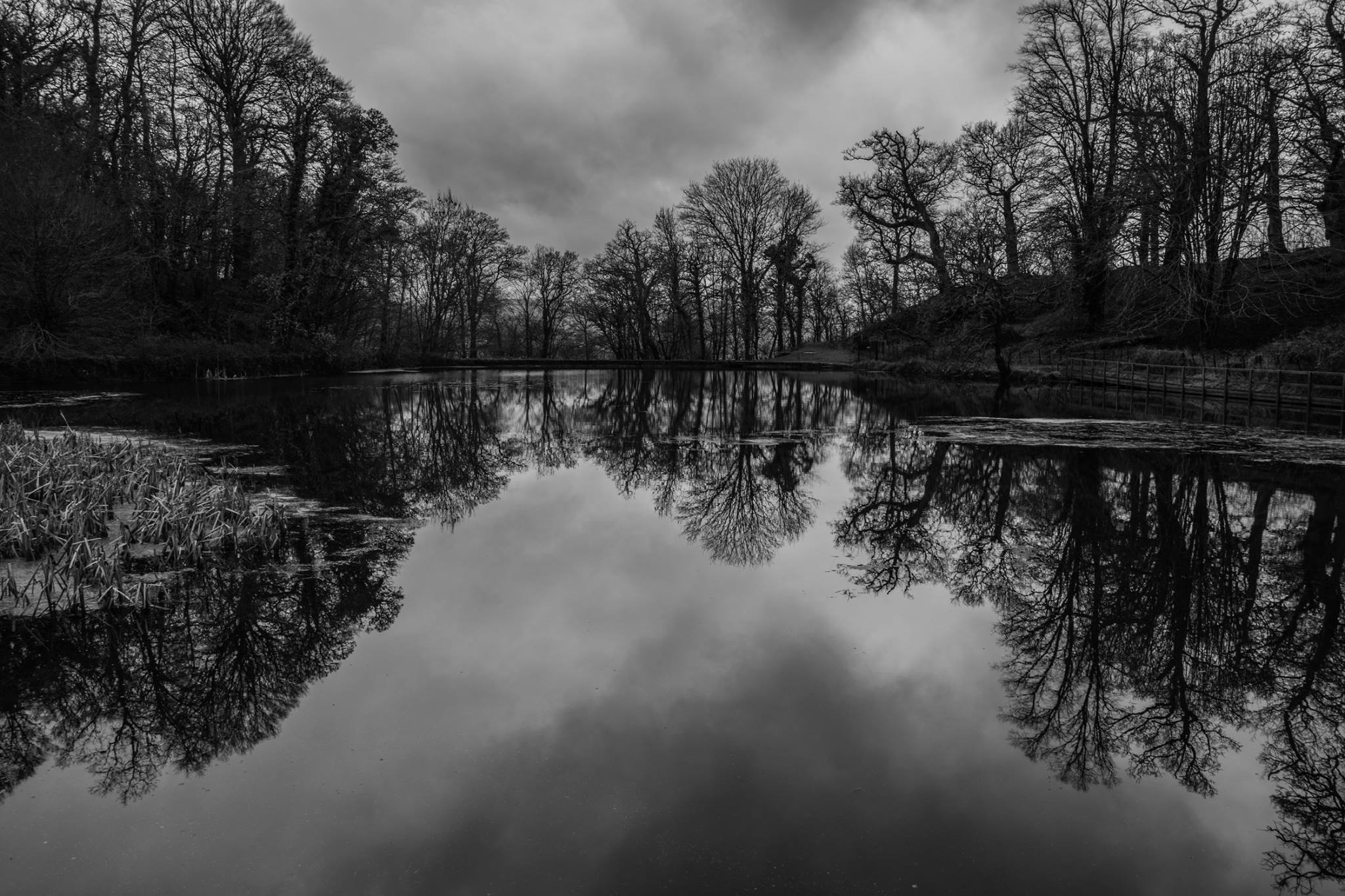 Millpond Dinefwr- Steve J Huggett.jpg