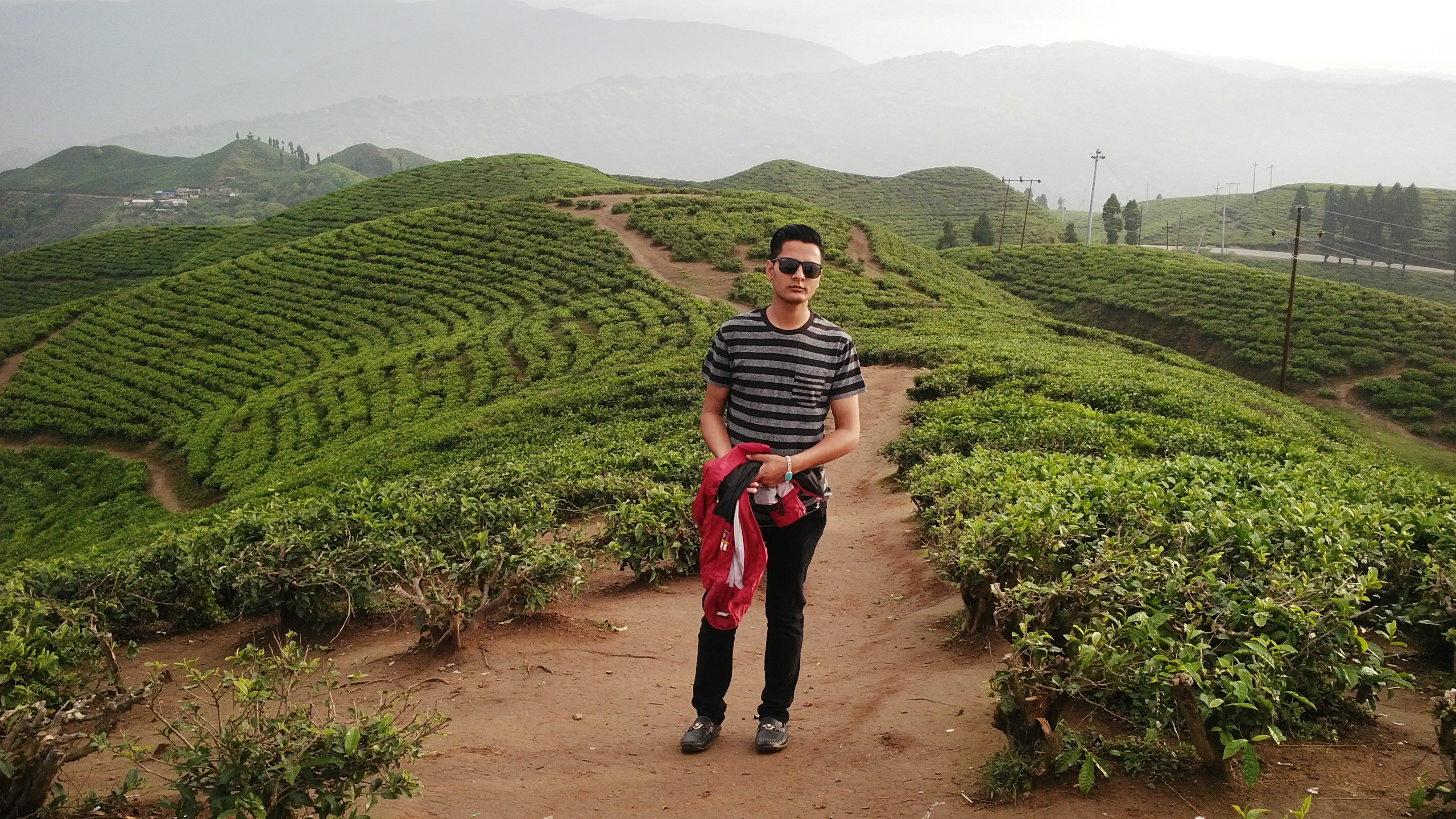 Beautiful Scenic Beauty of Ilam, Tea Garden of Nepal — Steemit