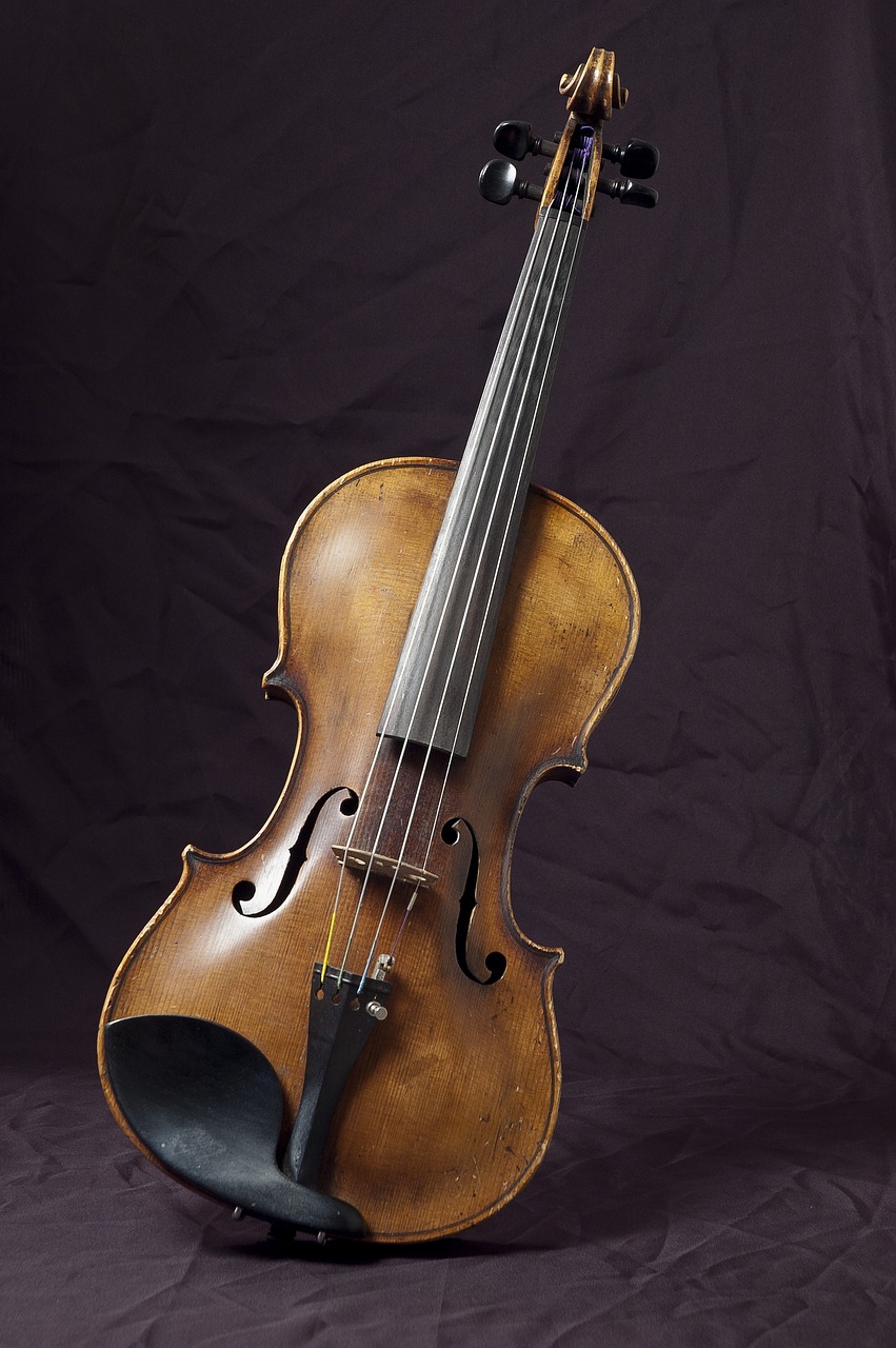 violin-3122660_1280.jpg