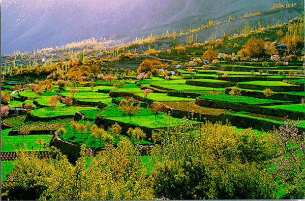 hunza.jpg