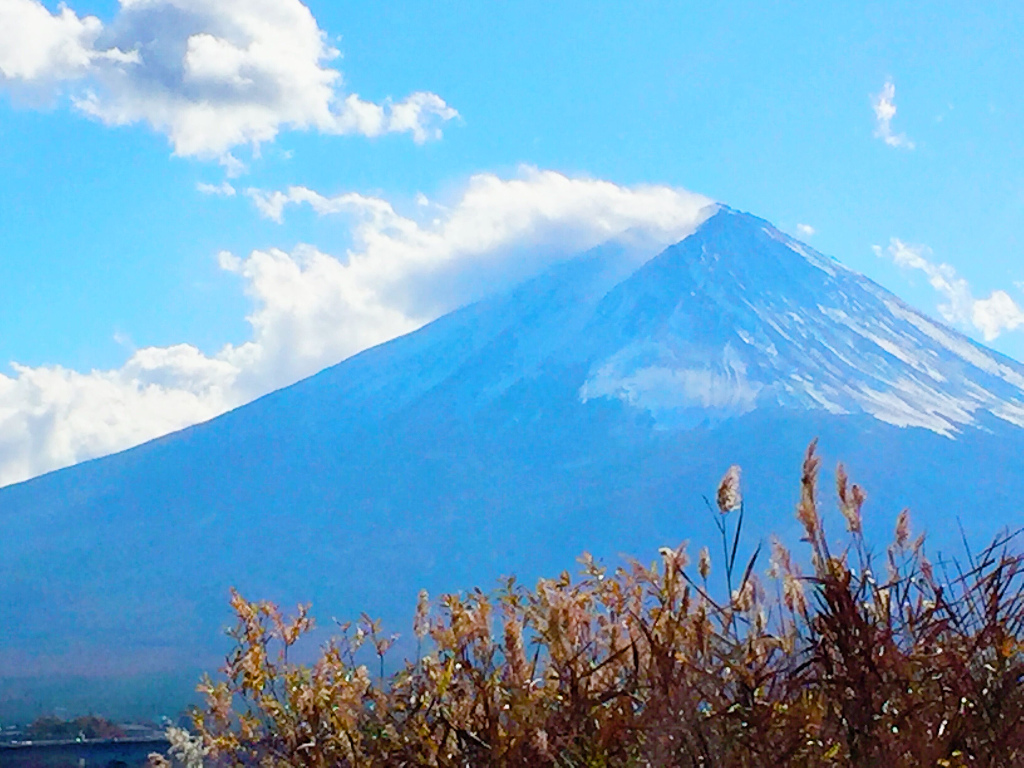 2017-11-19 13.24.04.jpg