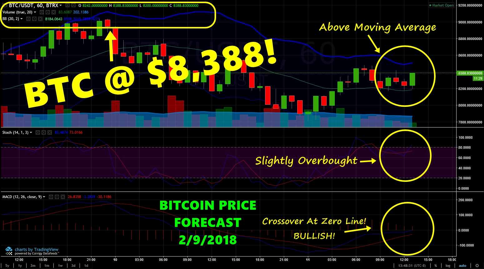 BTCforecast02112018.jpg