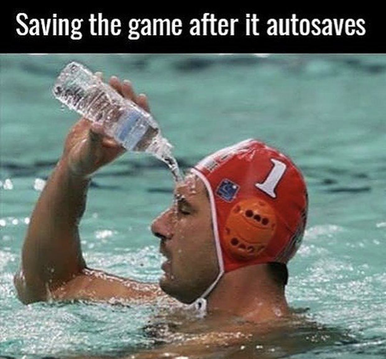 77999c5.jpg