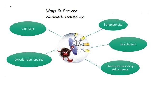 Ways To Prevent Antibiotic Resistance.jpg