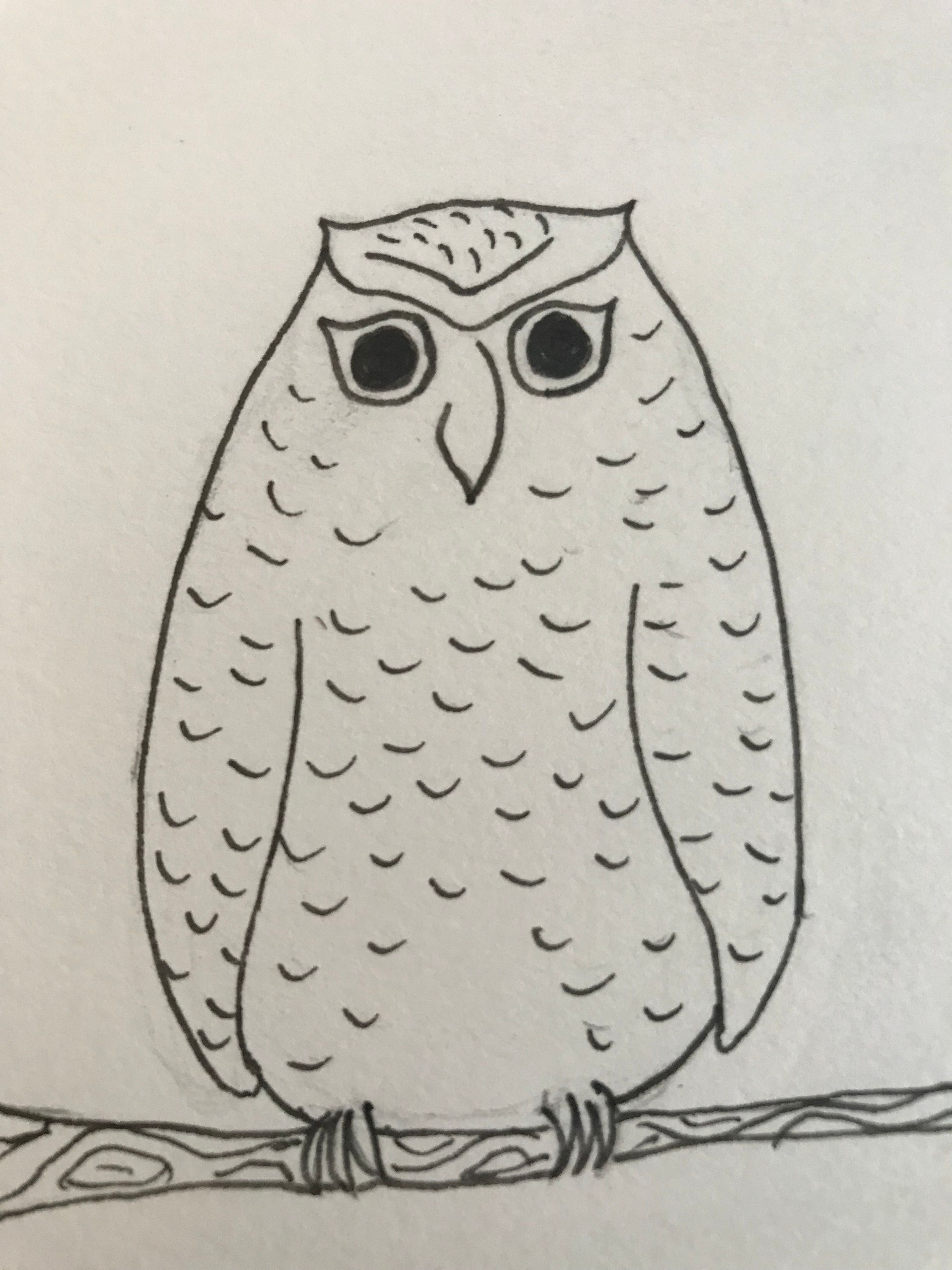 Draw1 - surly owl.JPG