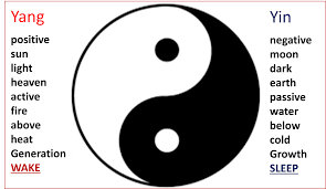 the concept of yin and yang theory