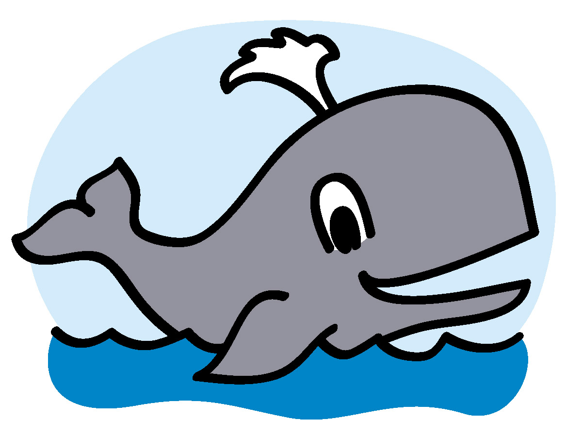 whale-pic-1200x900-857cf02.png