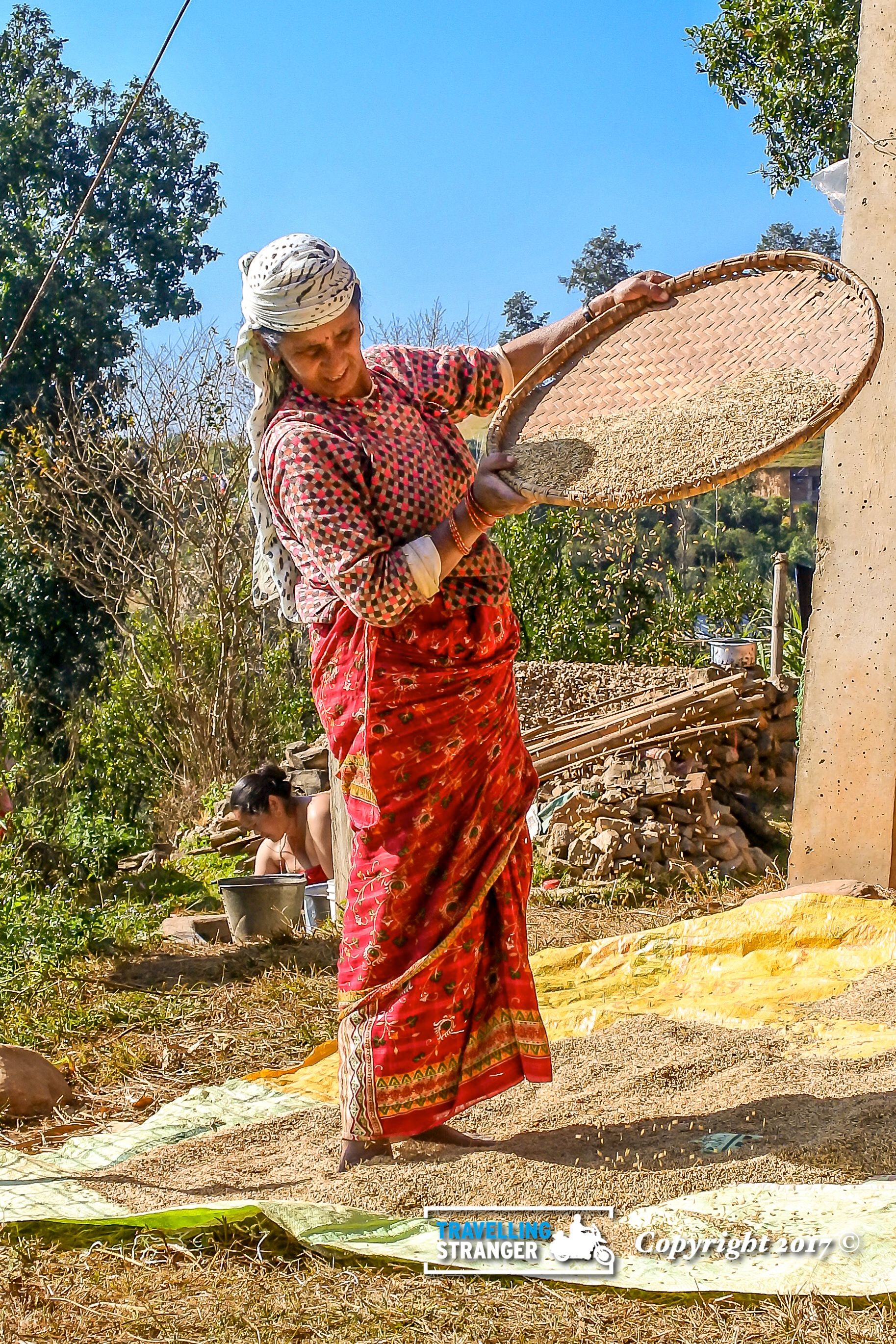 Older Nepali lady processing rice.jpg
