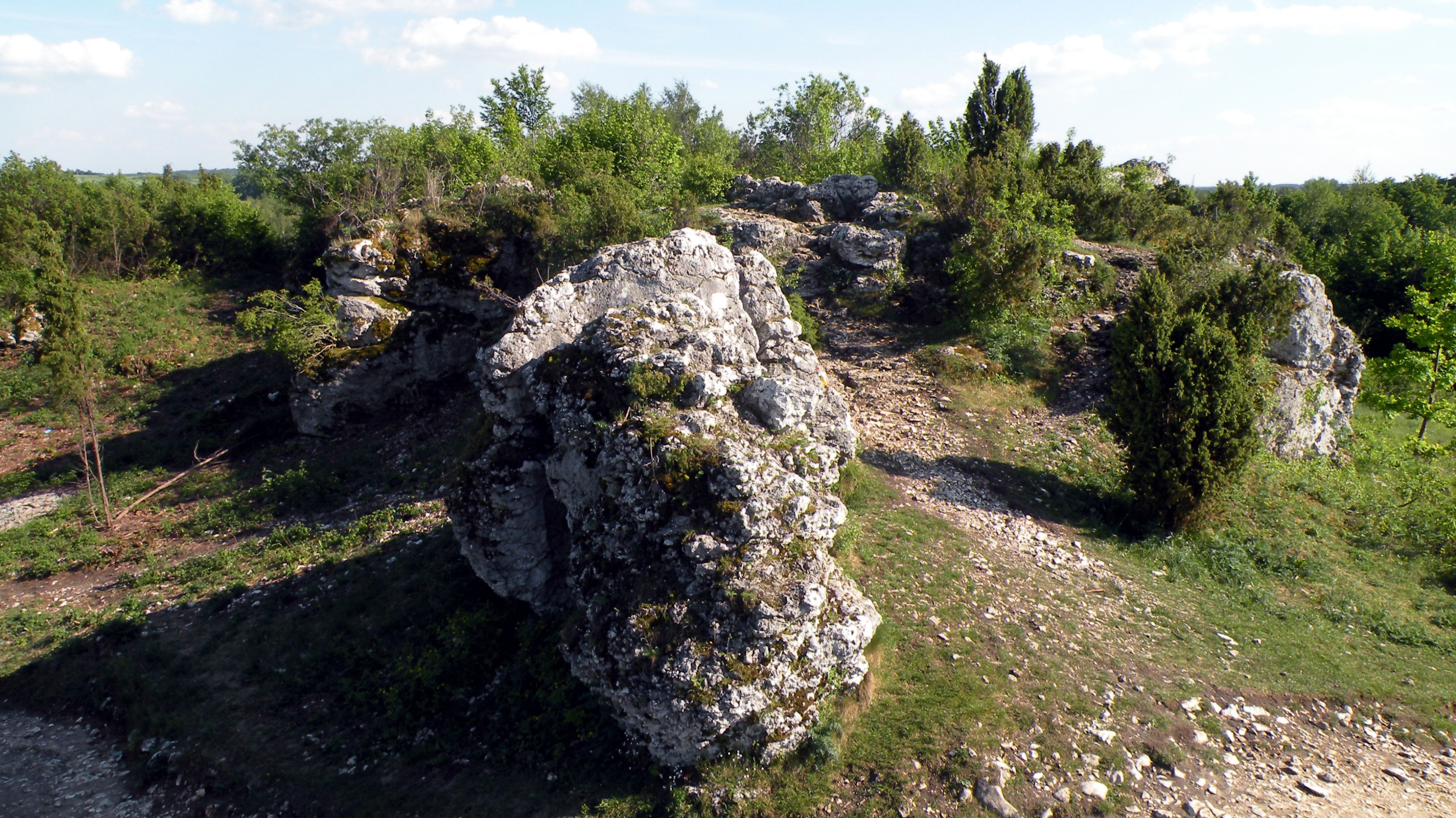 DSCN3205 Mirów (12).JPG