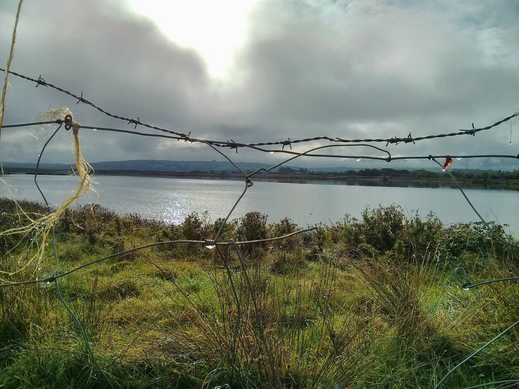 grey day Ireland.jpg