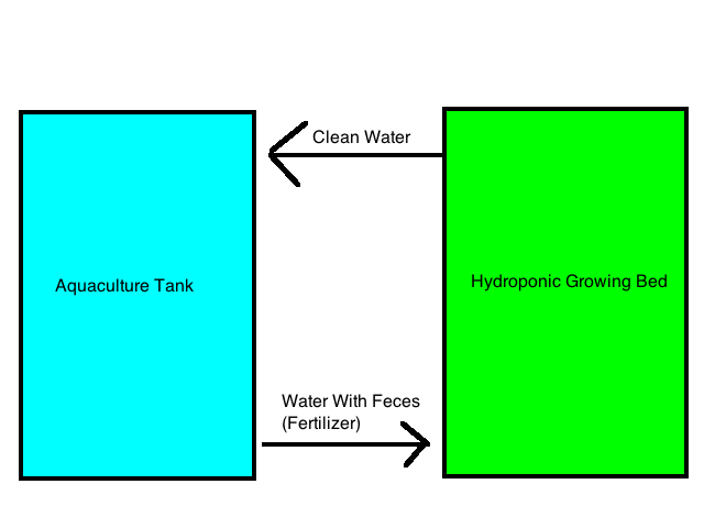 Aquaponics.png