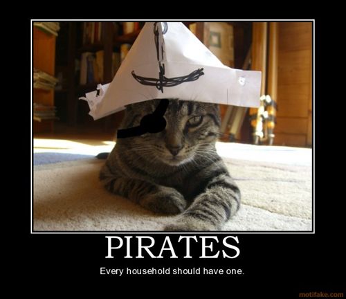 Pirate Cat.jpg