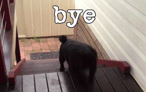 tenor3.gif
