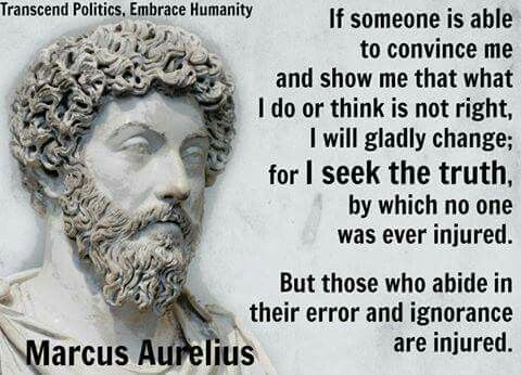 43eab355b3511dcc9741cfbc49bdee19--roman-quotes-marcus-aurelius-quotes.jpg