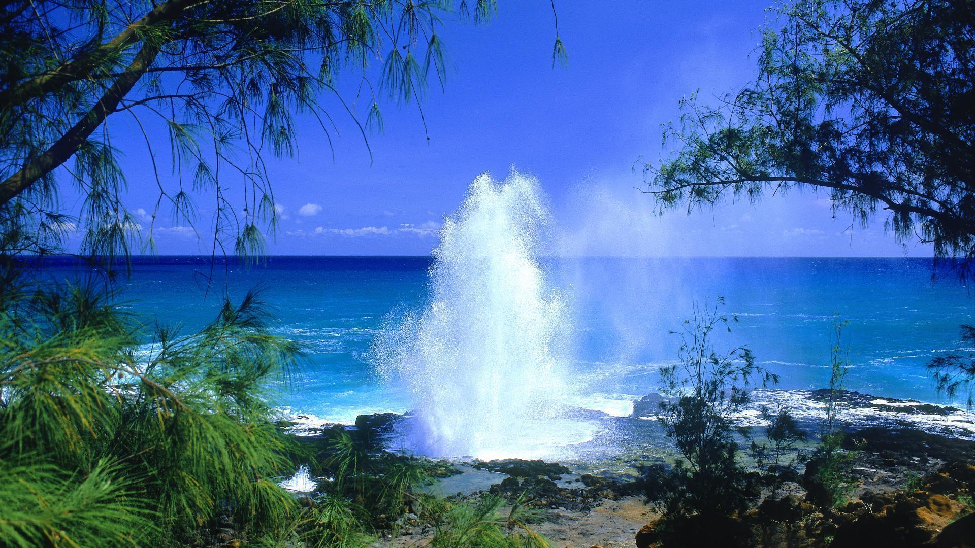 blowhole.jpg