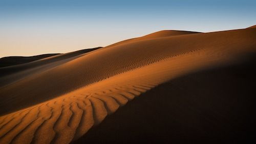 essay about cloning quran