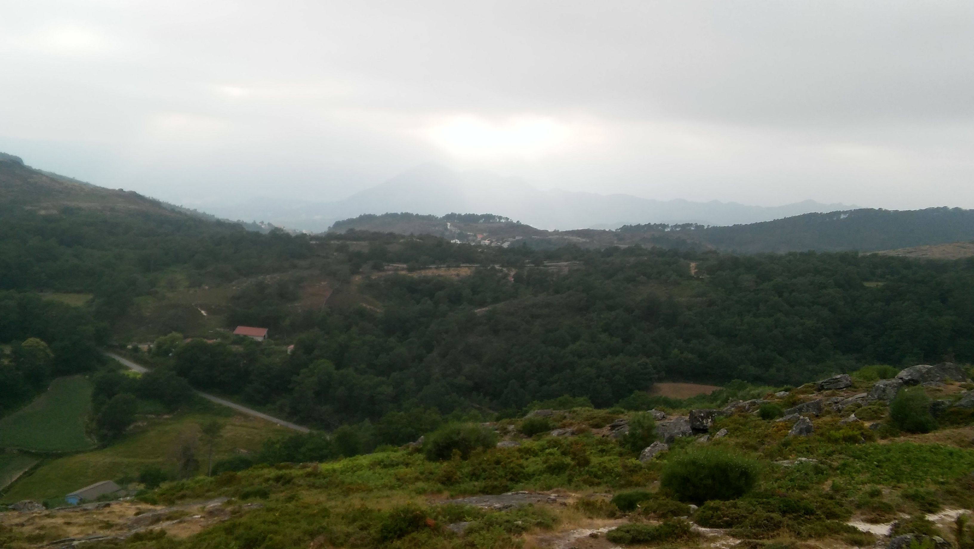 20170705_193208_HDR.jpg