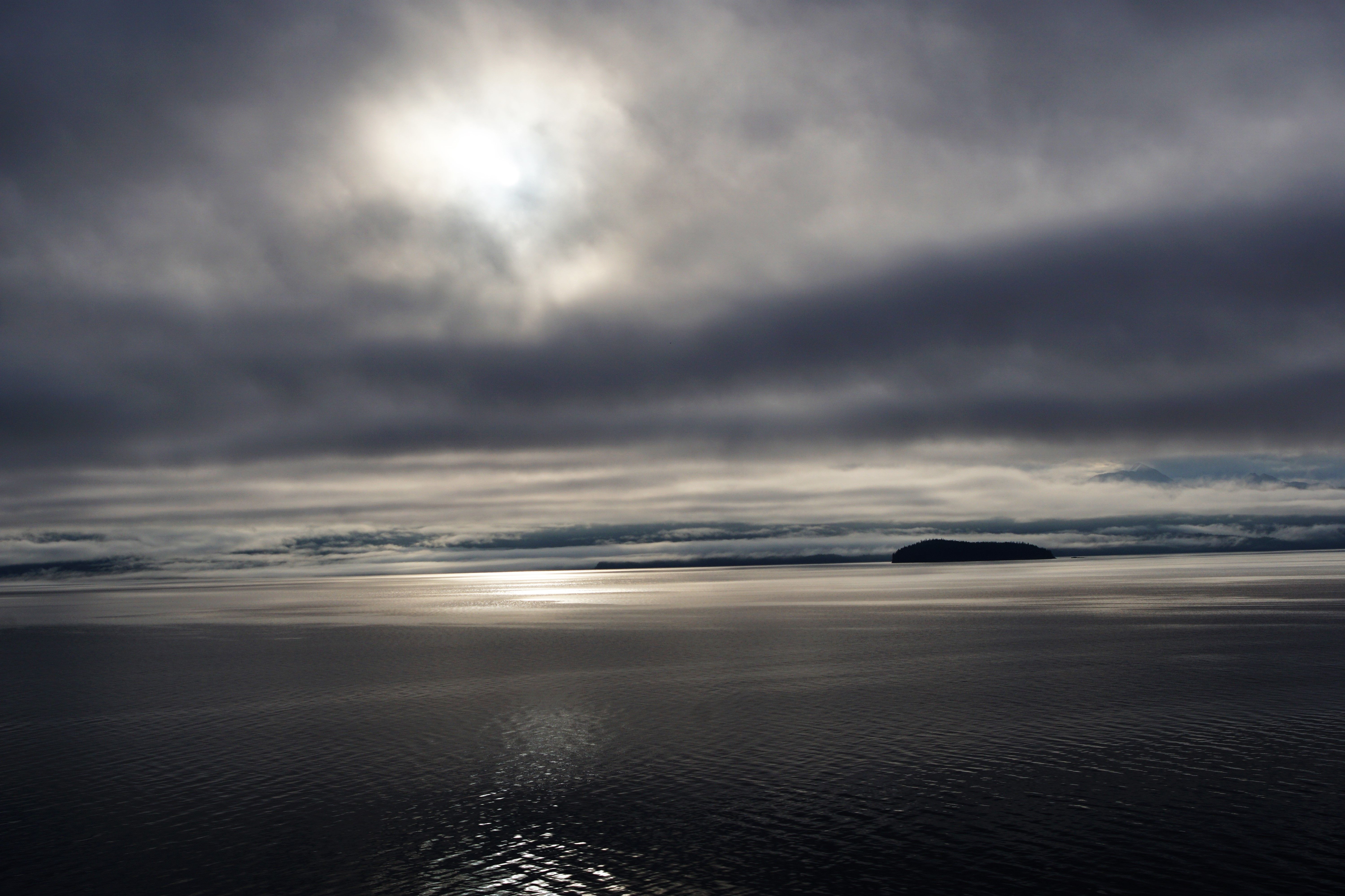 DSC02970.jpg