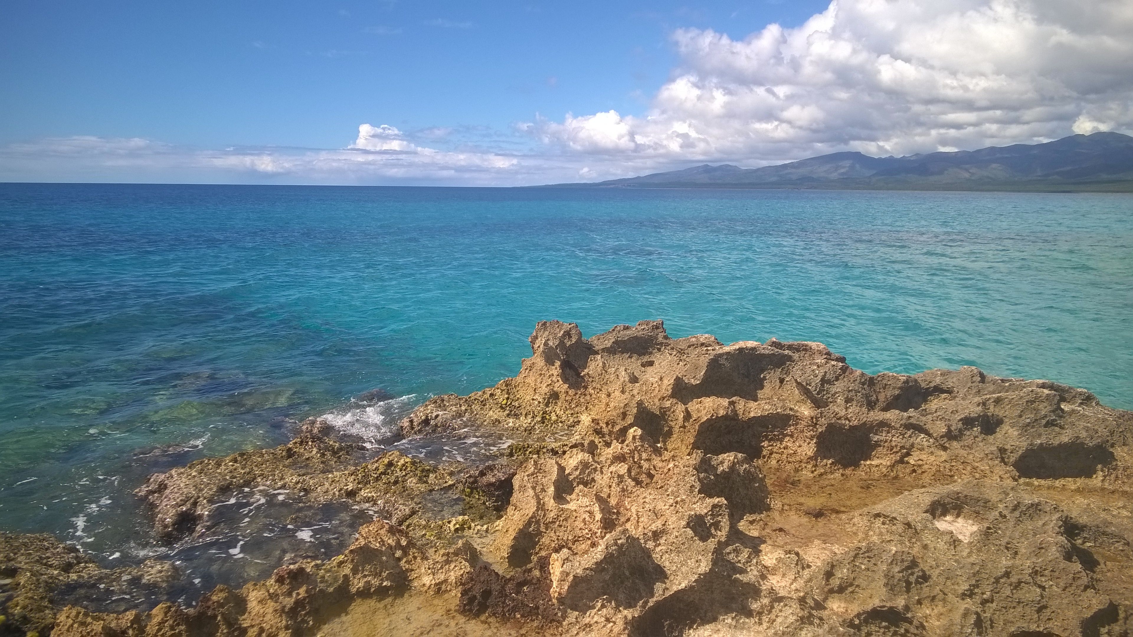 WP_20180202_002.jpg