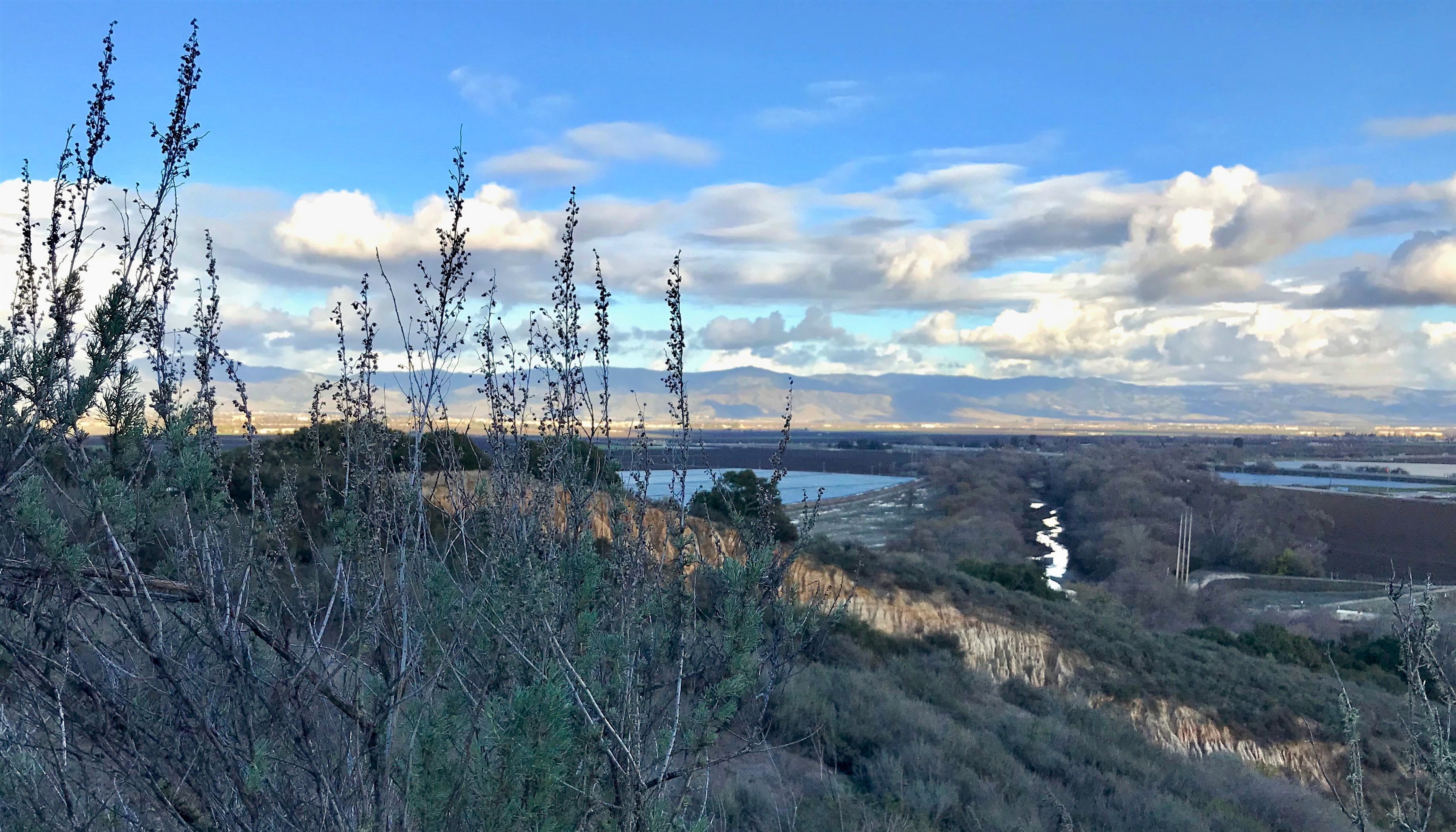 FO - Salinas River.jpg