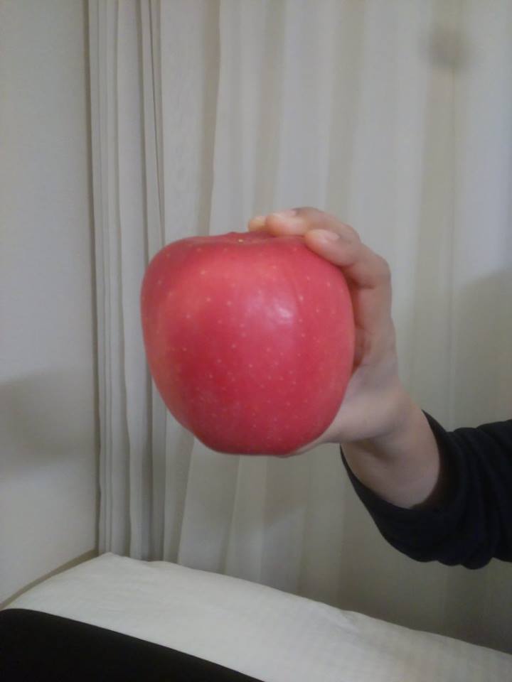 japanese apple.jpg