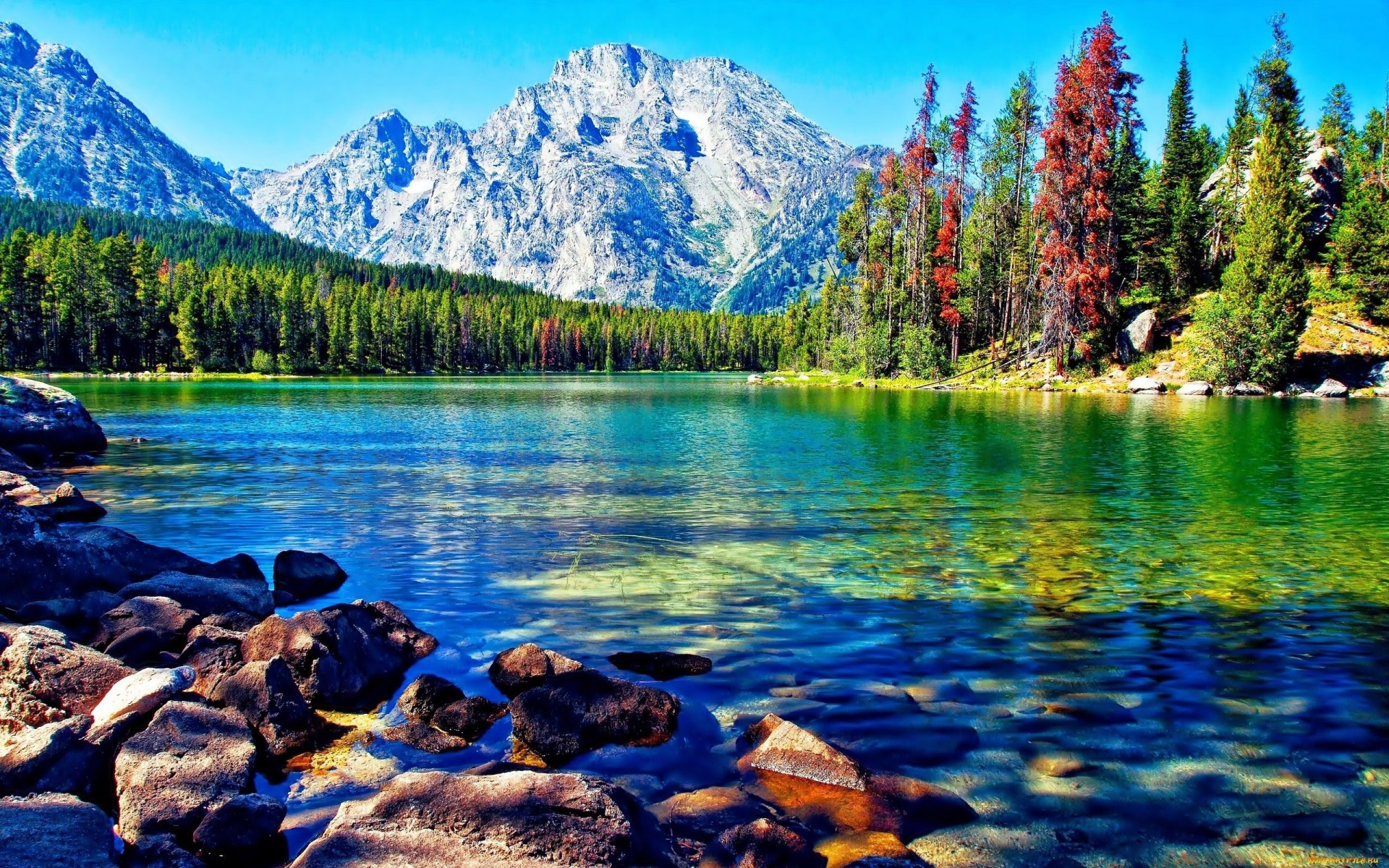 Beautiful-lake-mountain-forest-desktop-wallpapers-1920x1200.jpg
