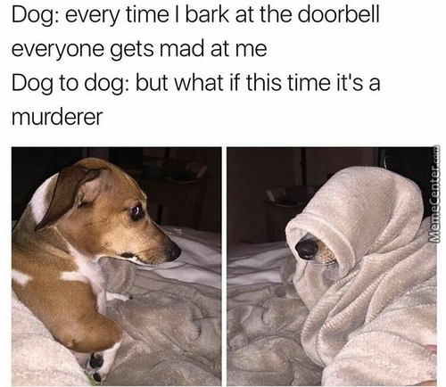 doorbell sounds like dog bark