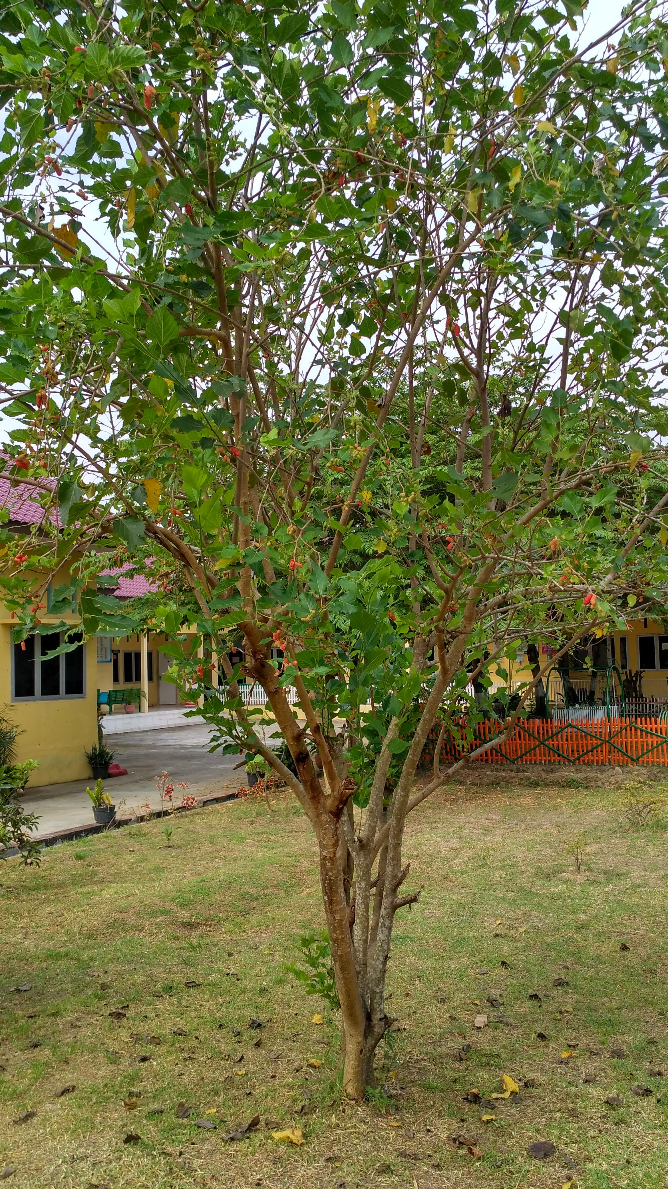 IMG_20180121_094205_HDR.jpg