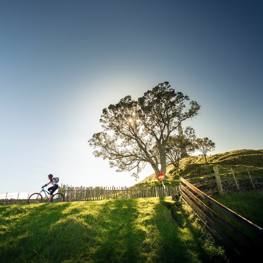 8727909170-new-zealand.jpg