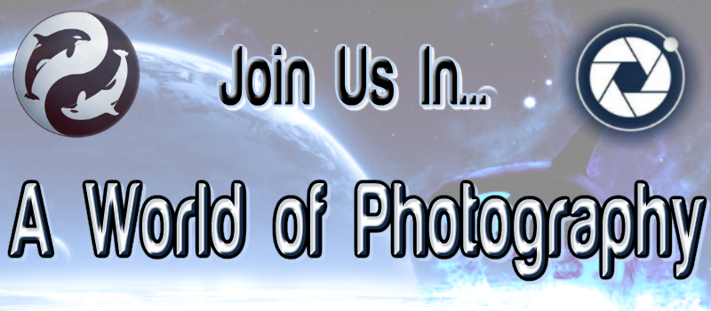 photocontests.png